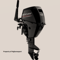 Mercury 9.9HP 4 stroke (sale) Mercury 9.9HP 4 stroke (sale)