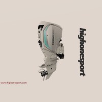 Evinrude 200hp Outboard Motor (sale)